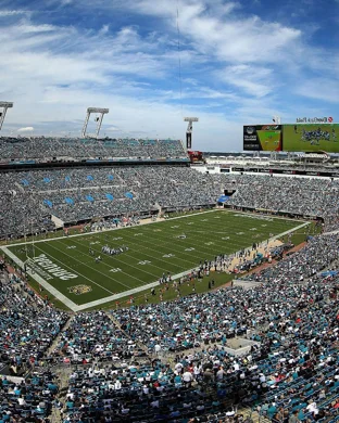 Miami Dolphins